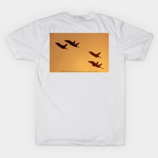 2-Sided F-16 Vipers and F-18 Hornets T-Shirt